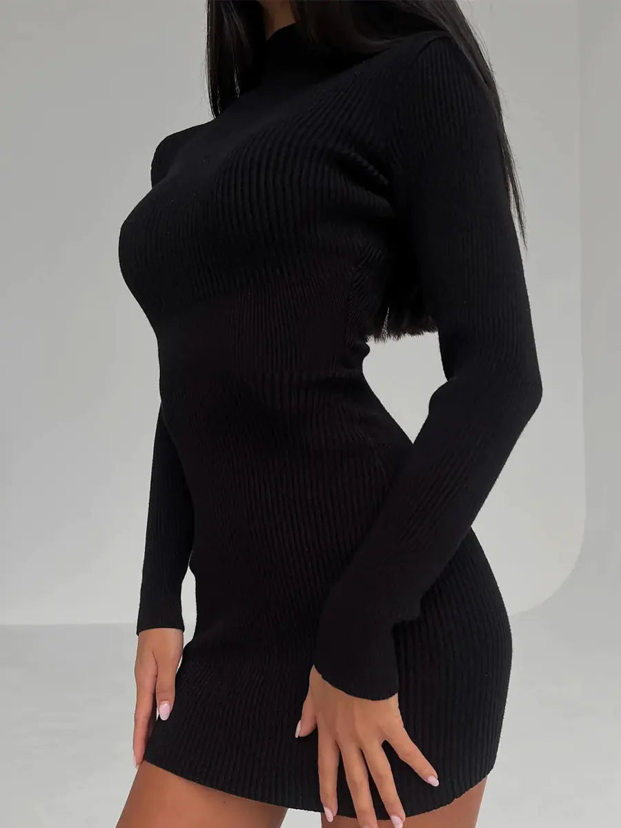 High Neck Ribbed Knit Dress for Women - Autumn/Winter 2026